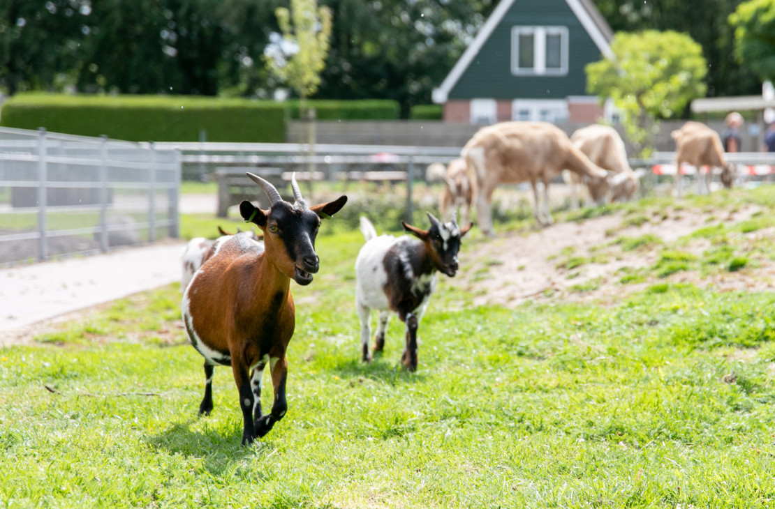 Buitenschoolse Opvang De Naturij VANDAAG