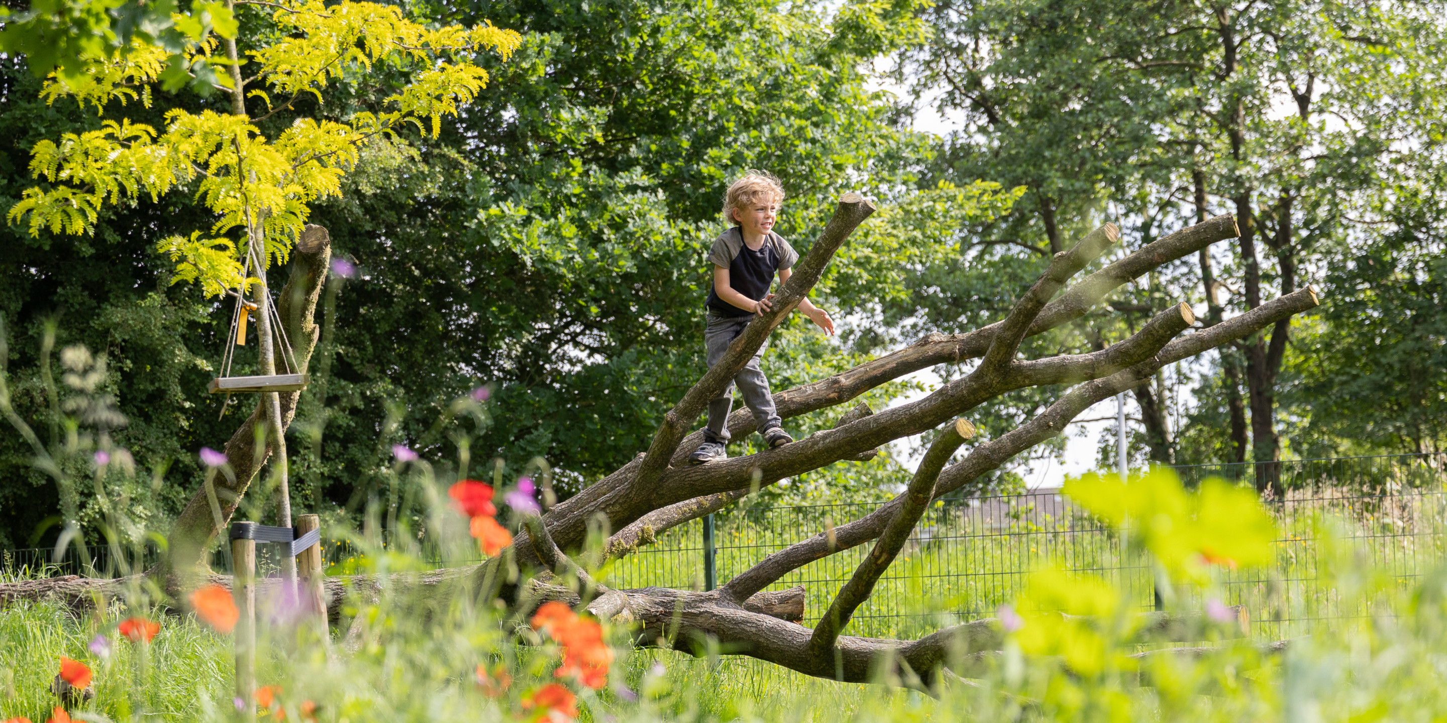 VANDAAG Kinderopvang Natuur-rijk