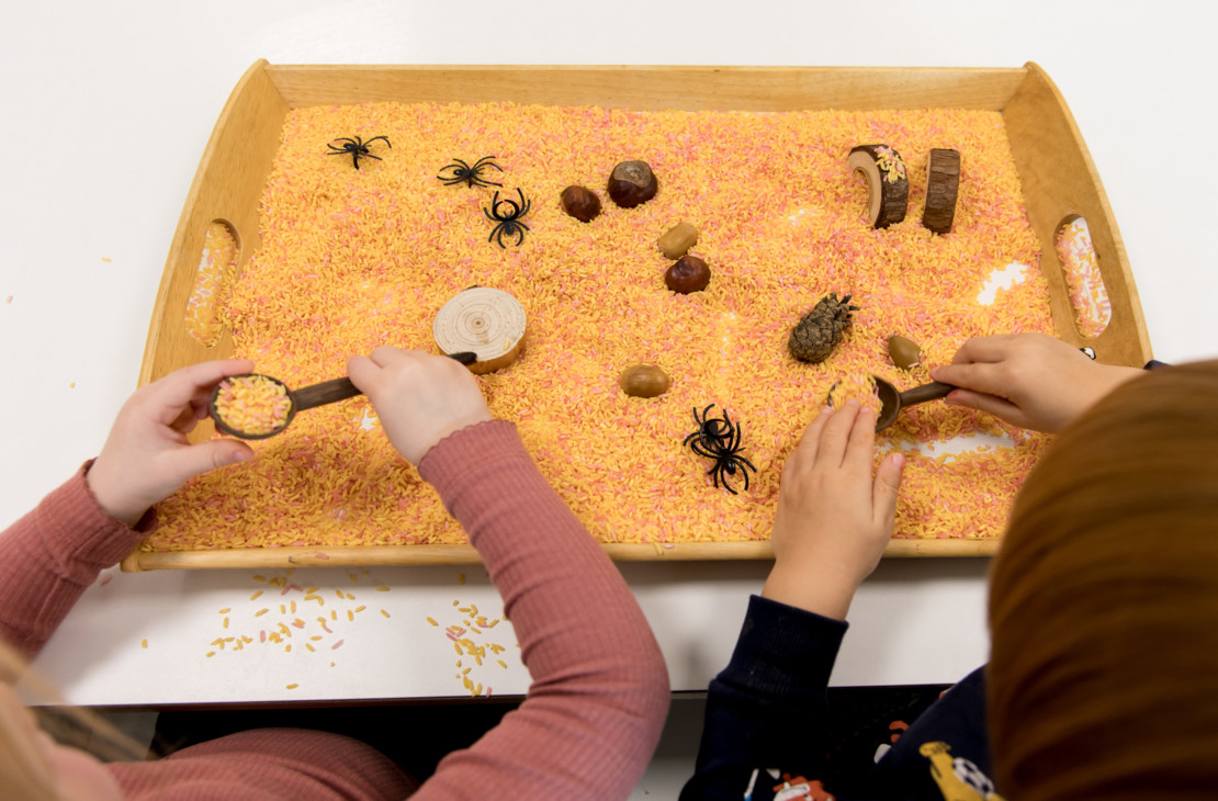 VANDAAG Kinderopvang De Paadwizer