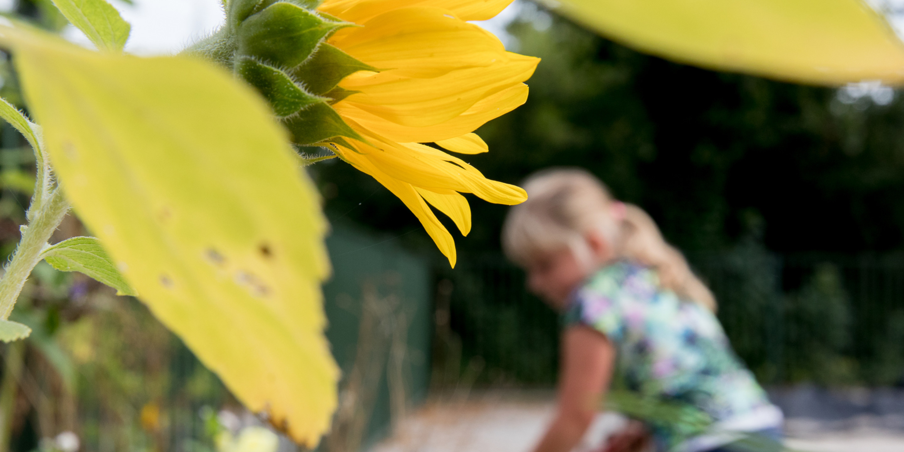 VANDAAG kinderopvang